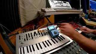 Zoom MS-70CDR - 50 Synth Presets