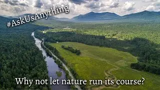 ASK US ANYTHING - Why not let nature run its course?