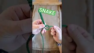 Snake Knot #shorts
