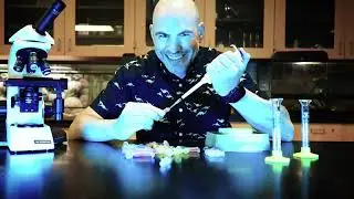 Hello, I am David Bird. Welcome to David Bird Science