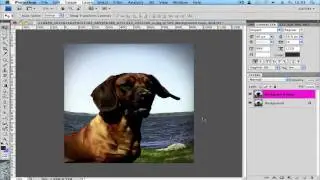 Fisheye Lens Effect in Photoshop | Photoshop Tutorial