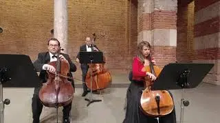 „Tritsch-Tratsch-Polka