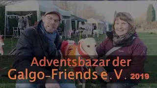 Adventsbasar der Galgo-Friends e.V. 2019 in Galdbeck