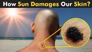 How Sun Ultraviolet (UV) Rays Damage Human Skin? | Is Sun Really Harmful For Our Skin?