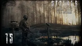 S.T.A.L.K.E.R. Упавшая Звезда. Честь Наемника #15 - Грешник