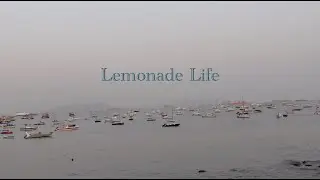 Walnut Brownie | Lemonade Life
