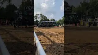 Saratoga R8 on Thursday!!! #saratoga #horseracing #gambling #horse
