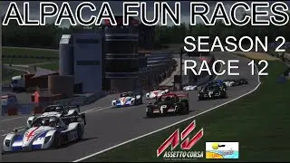 Alpaca Fun Races - Radical at Brands Hatch - Assetto Corsa