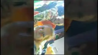Ксения Корнева. Уральские пельмени в Анапе 2023.