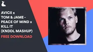 Avicii x Tom & Jame - Peace Of Mind x Kill It (KNDDL Mashup) [FREE DOWNLOAD]