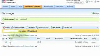 PLESK (19) - How to use the File Manager in PLESK