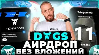 DOGS - ПОЛУЧИ БЕЗ ВЛОЖЕНИЙ ТОКЕНЫ DOGS | НОВАЯ ТАПАЛКА - ПОКА HAMSTER KOMBAT