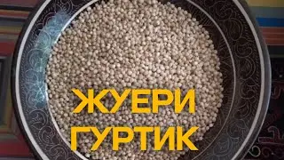 Жуери Гуртик древнейшее блюдо Каракалпаков Júweri Gúrtik tagami