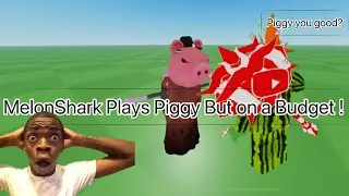 Playing Piggy but On a Budget!