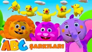 Beş Küçük Ördek | Çocuk Şarkıları ve Kafiyeleri | ABC Turkish