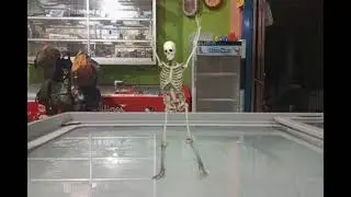 Dancing Skeleton