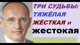 Три вида судьбы: тяжёлая, жёсткая и жестокая. Торсунов О. Г.