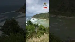 Dolphin Point Lookout