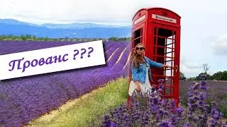 Lavender fields in Provence? [ENG subs]