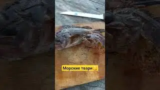 #fish