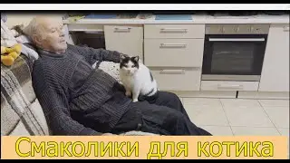 Смаколики домашні для котика