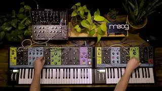 Moog Semi-Modular Synthesizers: Interconnectivity II