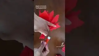 Diy-flor de noche buena  en papel crepe manualidades navideñas