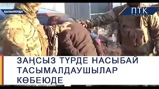 Заңсыз түрде насыбай тасымалдаушылар көбеюде