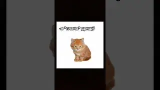 Мем 