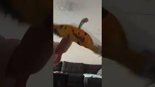 новый дракон Кэт би, она ещё не доделана.