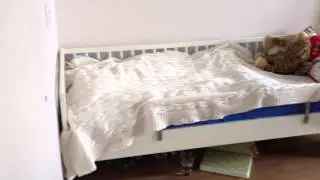 певец