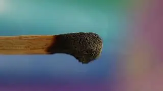 Fotografía Macro y Micro
