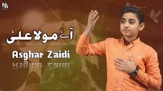 AYI 13 RAJAB | ASGHAR ZAIDI | NA PRODUCTION | MANQABAT 2022
