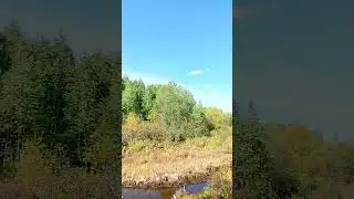 Уж осень наступила, заблестело золото в листве !