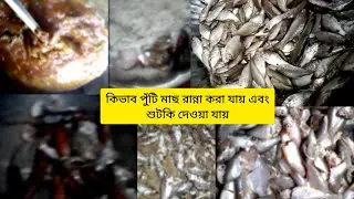 পুরো ভিডিও দেখুন পুঁটি মাছের