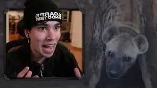 SPREEN REACCIONA A LUISITO COMUNICA CON LOS HOMBRES HIENA