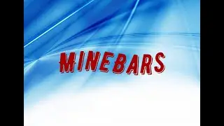 Обзор Сервера Майн Барс. Feat. гусь