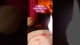 О ЧЁМ ОН СОЖАЛЕЕТ ??? 