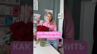 КАК УВЕЛИЧИТЬ СТОЙКОСТЬ РОЗ 🌹 пиши в комментариях если знаешь как именно помогают верхние листья 😜