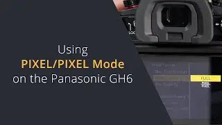 Using Pixel To Pixel on Lumix cameras | How to use Pixel Pixel mode on the Panasonic GH6, GH7 & G9m2