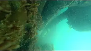 ПО. Сезон не за горами.