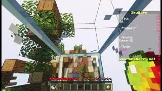 Minecraft with physic mod on a multi player server