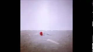 Несмеяна - Две пластиковых гвоздики