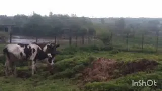 Продолжаем вести наш дневник фермера.