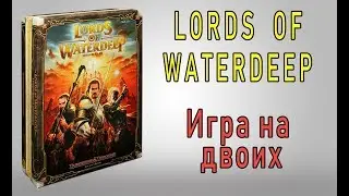 Lords of Waterdeep. Игра на двоих