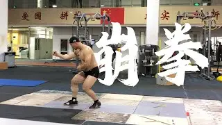 羞羞的半步崩拳，楼上楼下都在看#kongfu #martialarts #kickboxing #taichi #wingchun #xingyi #bagua #wushu #wushusanda