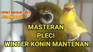 MATERI TEMB4KAN MANTENAN WINTER KONIN