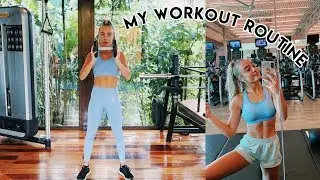 MY WORKOUT ROUTINE (what i do at the gym)
