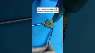 Как из процессора AMD сделать Intel? 😀
