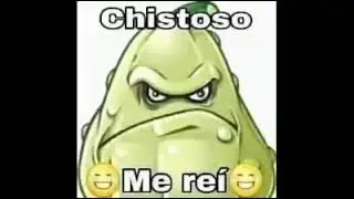 chistoso